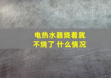 电热水器烧着就不烧了 什么情况